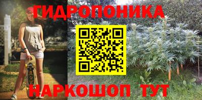 МДПВ Сланцы