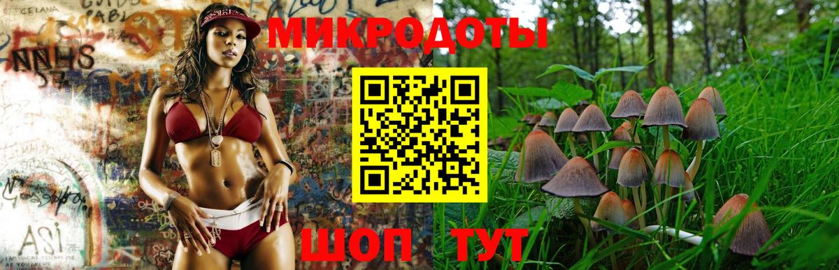 Галлюциногенные грибы прущие грибы Ногинск